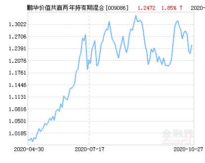 鹏华价值基金净值最新动态,解读与分析要点探讨