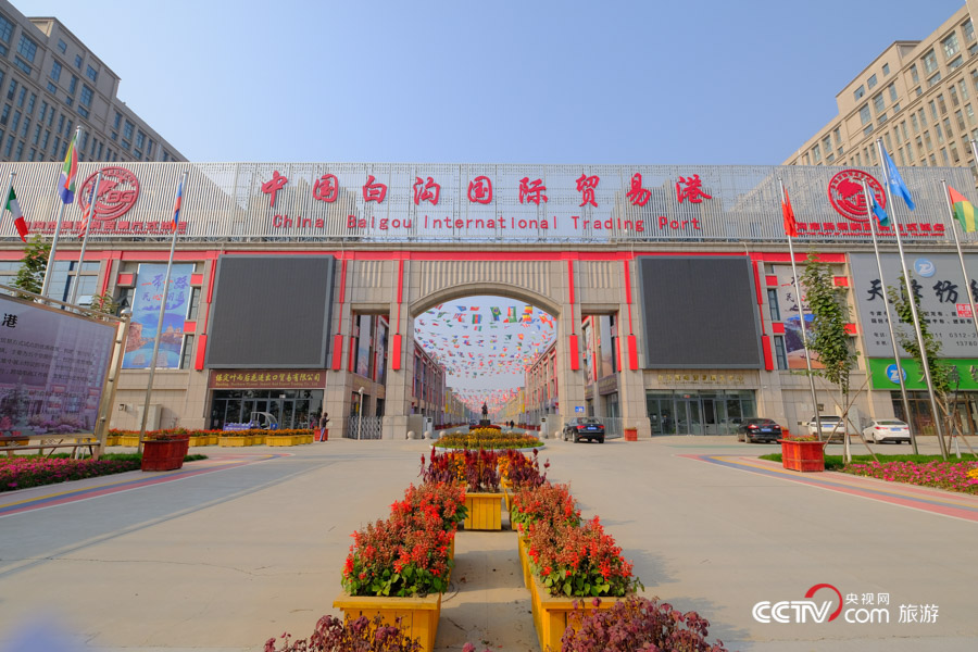 白沟旅发大会最新政策深度解读,探寻小巷独特风味之旅